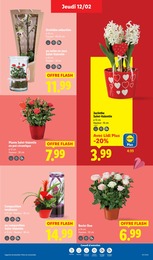 Offre Vase dans le catalogue Lidl du moment à la page 31