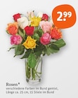 Rose im tegut Prospekt Rosen im aktuellen tegut Prospekt für 2,99 €