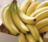 Intermarché Contact Camaret-sur-Aiguës - Promo Banane Promo Banane à 0,95 € dans le catalogue Intermarché Contact à Camaret-sur-Aiguës