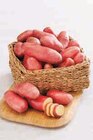 Pomme de terre de consommation à chair ferme - U en promo chez U Express Pomme de terre de consommation à chair ferme - U dans le catalogue U Express