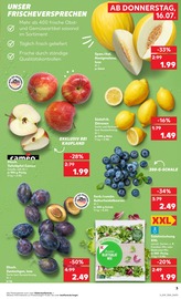 Tierfutter im Kaufland Prospekt in Düsseldorf Aktueller Kaufland Prospekt mit Tierfutter, "Hier bin ich richtig", Seite 3