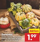 Aktuelle Kürbis Angebote bei Netto Marken-Discount in Darmstadt Aktuelles Zierkürbis Gizmo Angebot bei Netto Marken-Discount in Darmstadt ab 1,99 €