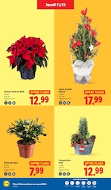 Jardinage Angebote im Prospekt "Votre repas de fêtes" von Lidl auf Seite 42