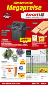 Aktueller toom Baumarkt Prospekt