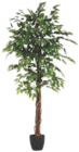 Ficus artificiel à 39,99 € dans le catalogue Maxi Bazar