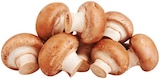 Braune Bio Champignons bei REWE im Harzgerode Prospekt für 1,79 €