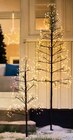 Outdoor-LED-Baum im Tchibo im Supermarkt Prospekt Outdoor-LED-Baum von  im aktuellen Tchibo im Supermarkt Prospekt für 79,99 €