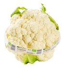 Bio Blumenkohl Angebote von REWE Bio bei REWE Völklingen für 2,49 €