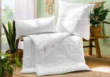 Kissen "Silver Fresh" oder Ganzjahresbett „Silver Fresh“ im Angebot bei Segmüller in Bad Homburg Kissen "Silver Fresh" oder Ganzjahresbett „Silver Fresh“ Angebote von billerbeck bei Segmüller Bad Homburg für 36,99 €