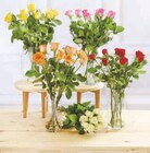 Bouquet de 9 roses en promo chez U Express Bastia à 4,99 €