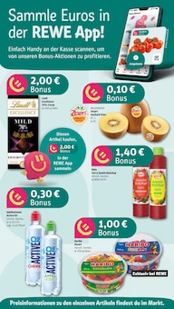 Aktueller REWE Prospekt für Fellbach mit  Seiten