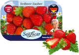 Aktuelles Erdbeeren Angebot bei REWE in Mannheim ab 3,33 €