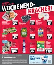 Aktueller famila Nordost Prospekt mit Ariel, "besser als gut!", Seite 24