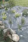 Gedimat Saint-Quentin - Promo Toile de paillage WEEDSOL Promo Toile de paillage WEEDSOL à 1,30 € dans le catalogue Gedimat à Saint-Quentin