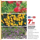 Arbustes fleuris - Super U à Toulon Arbustes fleuris en promo chez Super U Toulon à 7,99 €