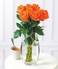Promo Bouquet de 7 roses à 1,99 € dans le catalogue Bi1 à Troyes