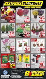 Aktueller B1 Discount Baumarkt Prospekt mit Dünger, "BESTPREISE DER WOCHE!", Seite 8
