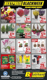Laubbesen Angebot im aktuellen B1 Discount Baumarkt Prospekt auf Seite 8