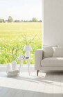 Doppelrollo im Angebot bei wohnen & sparen Wiegand in Fulda Doppelrollo Angebote bei wohnen & sparen Wiegand Fulda für 14,99 €