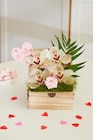 Orchidée 4 fleurons coffret en promo chez Carrefour Boulogne-Billancourt à 12,99 €