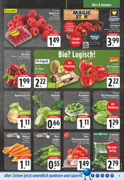 Salat im EDEKA Prospekt in Solingen Aktueller EDEKA Prospekt mit Salat, "Aktuelle Angebote", Seite 7
