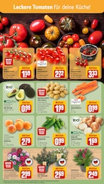 REWE Pflanzen im Prospekt 