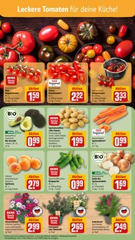 Pflanzen im REWE Prospekt "Dein Markt" mit 18 Seiten (Aachen)