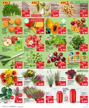 Aktueller Kaufland Prospekt mit Kohle, "Aktuelle Angebote", Seite 11