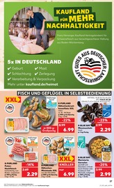Hackfleisch im Kaufland Prospekt in Pulheim Aktueller Kaufland Prospekt mit Hackfleisch, "KNÜLLER", Seite 27