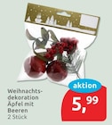 Aktuelles Weihnachtsdekoration Äpfel mit Beeren Angebot bei budni in Berlin ab 5,99 €