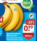 Rainforest-Alliance-Bananen, lose Angebote bei ALDI SÜD Langenfeld für 0,99 €