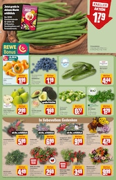 REWE Staubsauger im Prospekt REWE Staubsauger im Prospekt