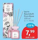 Raumduft Pure Rose von Ipuro im aktuellen budni Prospekt