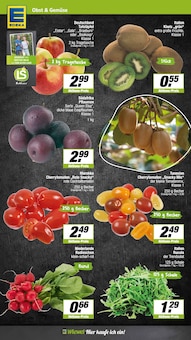 Äpfel im EDEKA Prospekt "Aktuelle Angebote" mit 15 Seiten (Münster)