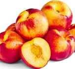 Aktuelle Nektarinen Angebote bei Penny in Bochum Aktuelles Nektarinen Angebot bei Penny in Bochum ab 2,22 €