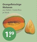 Orangefleischige Melonen im aktuellen V-Markt Prospekt für 1,99 €