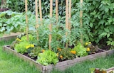 Promo -20% sur une sélection de carrés potagers bois à  dans le catalogue Gamm vert à Saint-Michel-sur-Orge