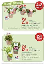Offre Plante Verte dans le catalogue Botanic du moment à la page 2