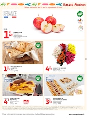 Promos Plantes dans le catalogue "LA RENTRÉE À PRIX K.O." de Auchan Supermarché Plantes en promo dans le catalogue Auchan Supermarché à la page 13