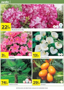 Promotion Tulipes dans le prospectus Carrefour, valable du 24/03/2026 au 06/04/2026 Promo Tulipes dans le catalogue Carrefour du moment à la page 97