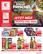 Likör im Kaufland Prospekt in Voerde Aktueller Kaufland Prospekt mit Likör, "Aktuelle Angebote", Seite 1