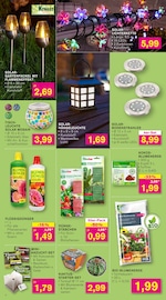 Aktueller KODi Prospekt mit Pflanzenerde, "DER HAUSHALTSDISCOUNTER", Seite 4