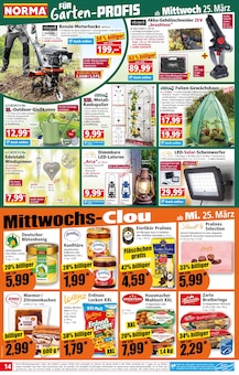 Honig im Norma Prospekt "Mehr fürs Geld" mit 20 Seiten (Nürnberg)