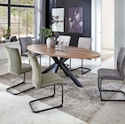 Schwingstuhl für 99,00 € bei Möbel Martin im Angebot Schwingstuhl im aktuellen Möbel Martin Prospekt