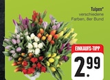 Tulpen Angebote bei E center Dresden für 2,99 €