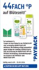 RABATT im Angebot bei Marktkauf in Bautzen RABATT Angebote von PAYBACK bei Marktkauf Bautzen