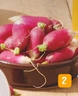 Radis rose - Supermarchés Match à Tourcoing Radis rose en promo chez Supermarchés Match Tourcoing à 0,99 €