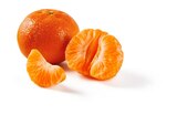 Mandarinen/Clementinen  im aktuellen Lidl Prospekt für 3,29 €