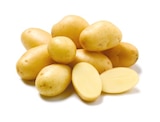 Speisekartoffeln im Angebot bei Netto mit dem Scottie in Stendal Speisekartoffeln Angebote bei Netto mit dem Scottie Stendal für 1,49 €