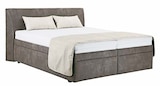 Aktuelles Polsterbett Evita Angebot bei SB Möbel Boss in Salzgitter ab 29,99 €